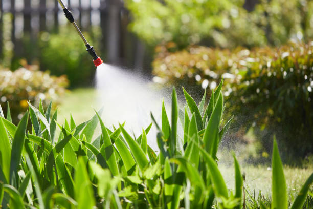 24/7 Emergency Wasp Removal experts in Almont, MI