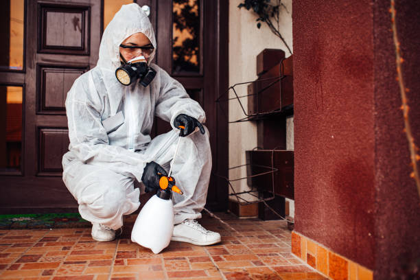 Reliable Wasp Removal contractor in Almont, MI by Show Me Pest Control